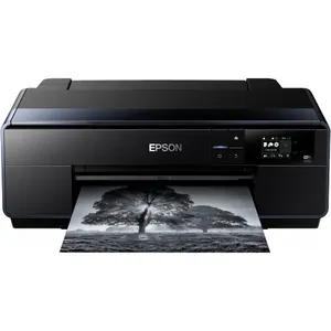 Замена головки на принтере Epson SureColor SC-P600 в Белгороде